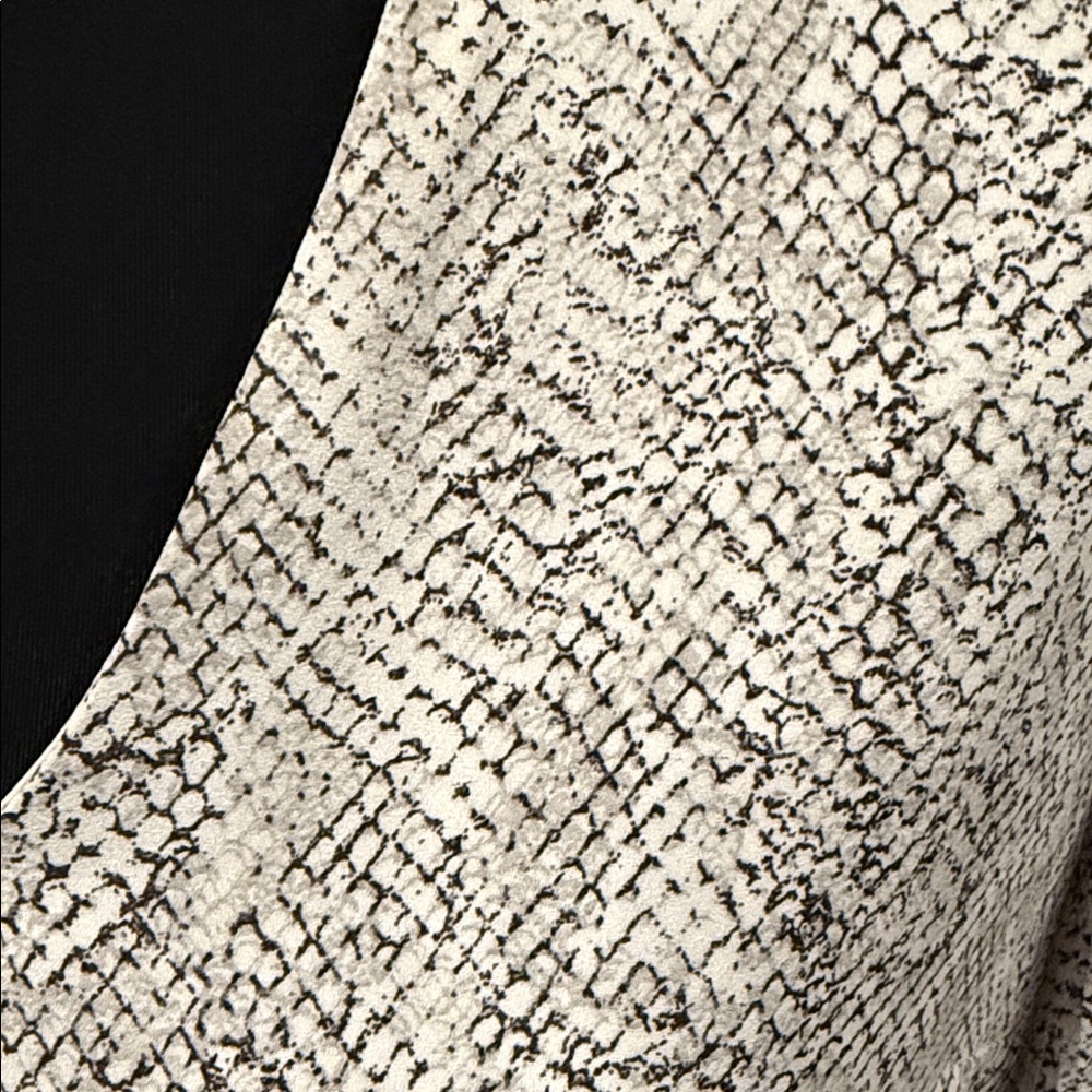 Snakeskin Print Dress by Ann Taylor Factory - Picture 2 of 6